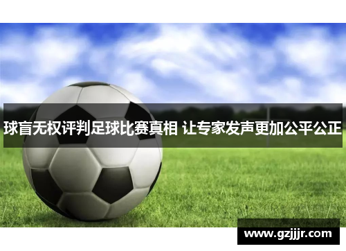 球盲无权评判足球比赛真相 让专家发声更加公平公正