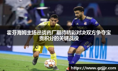 霍芬海姆主场迎战药厂期待精彩对决双方争夺宝贵积分的关键战役